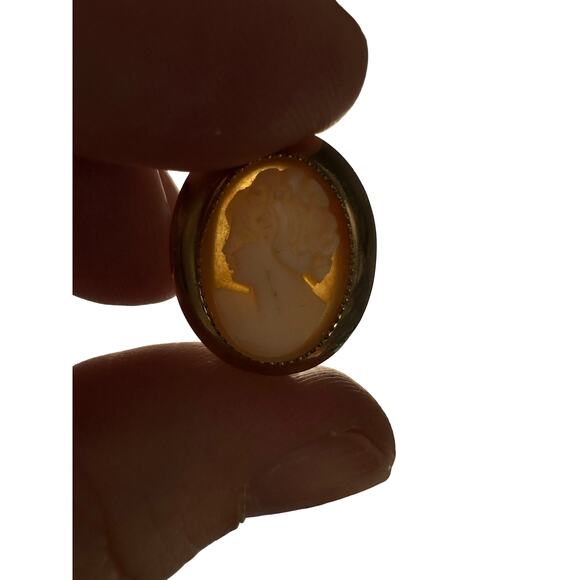 Vintage AMCO 14K Gold Overlay Genuine Shell Cameo Screwback Earrings w/ Box - Picture 1 of 8